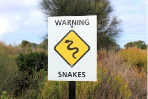 warning snake sign