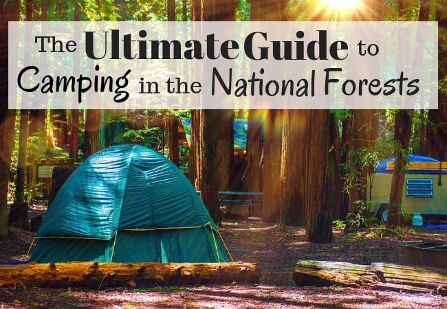The ultimate guide to camping in the national forests.