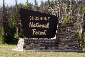 national forest sign 