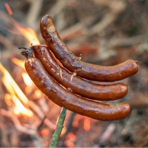 Cooking hot dogs over campfire on stick