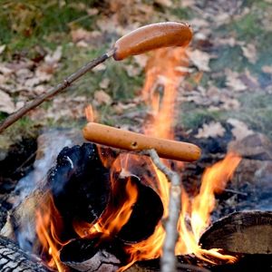 Hot dogs on a stick over a campfire